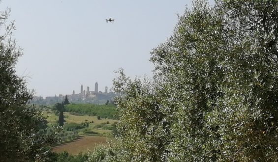 Prove di impollinazione assistita: ecco il drone in azione!