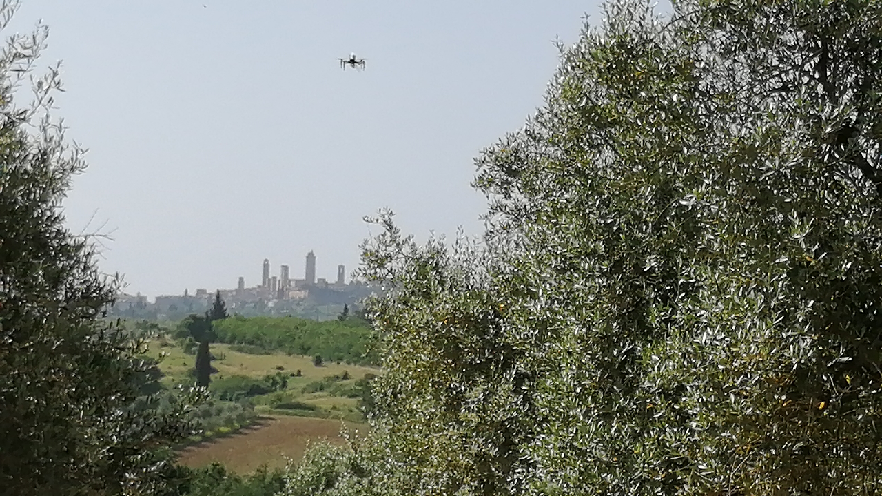 Prove di impollinazione assistita: ecco il drone in azione!