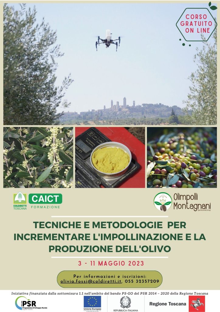 Parte il corso “Tecniche e metodologie per incrementare l’impollinazione e la produzione dell’olivo”